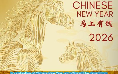 Chinese New Year Holiday Notice 2026